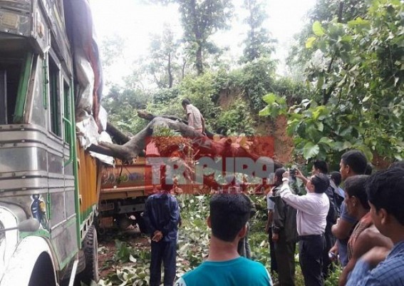 Monsoon : Transport movement disrupted after tree collapsed on Highway